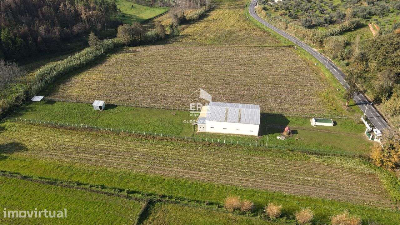 Armazém localizado no Olival, Ourém! - Grande imagem: 3/14