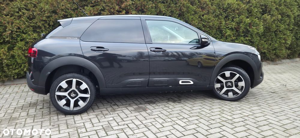 Citroën C4 Cactus PureTech 110 Stop&Start EAT6 Shine - 15