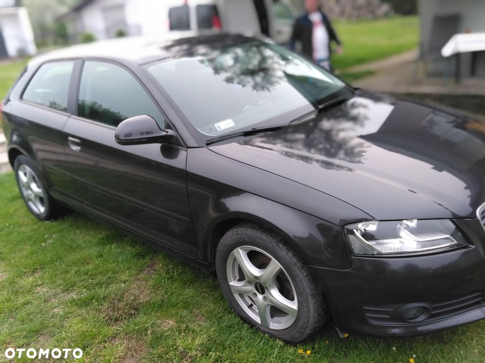 Audi A3 3-drzwiowe 1.6 TDI 99g DPF - 12