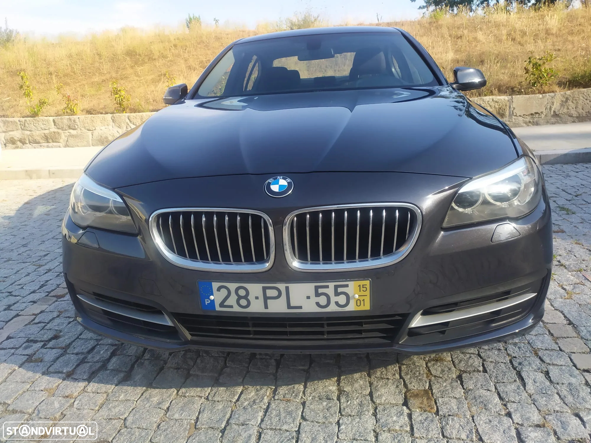 BMW 520 d Line Luxury - 2