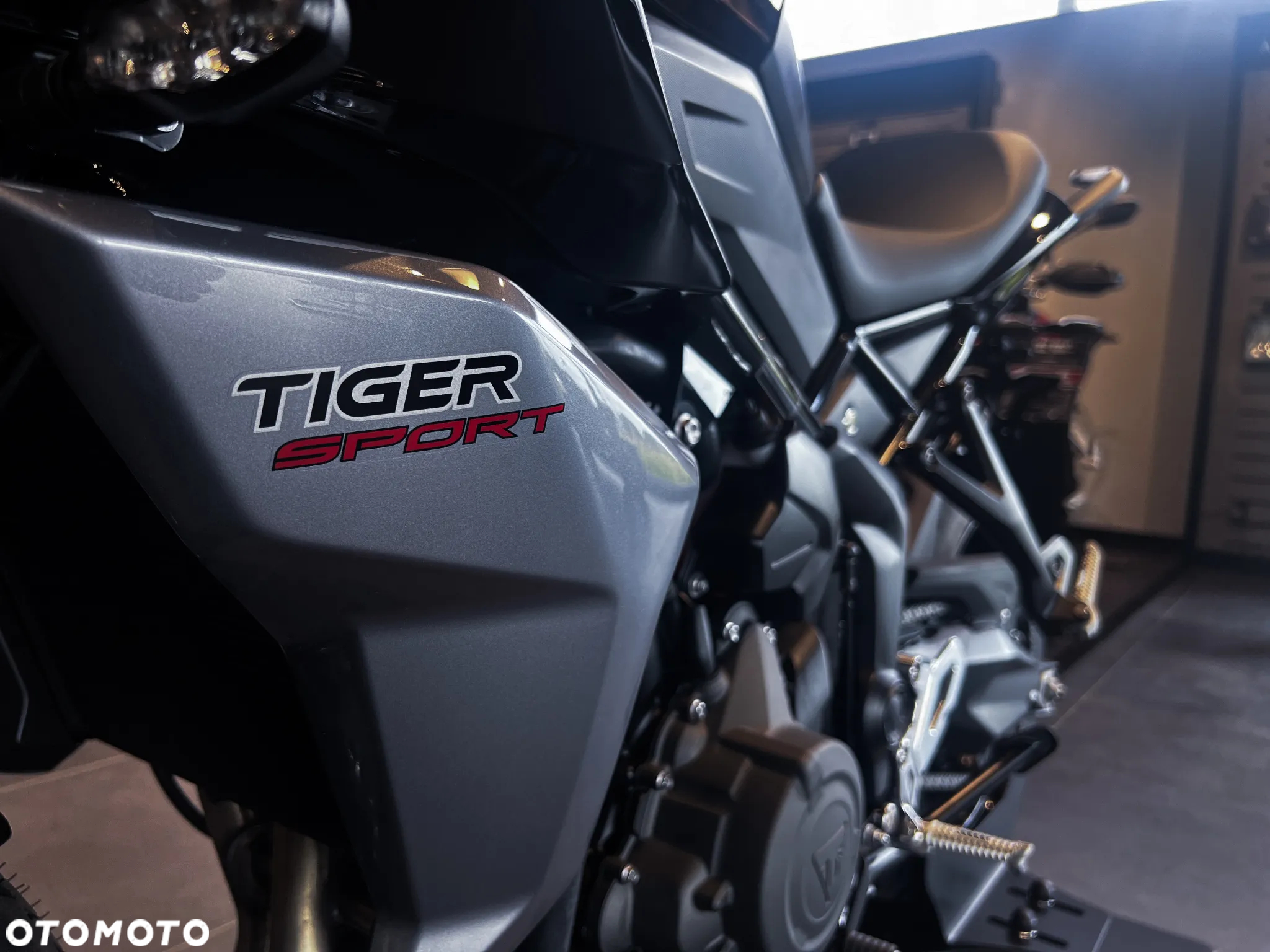 Triumph Tiger - 8