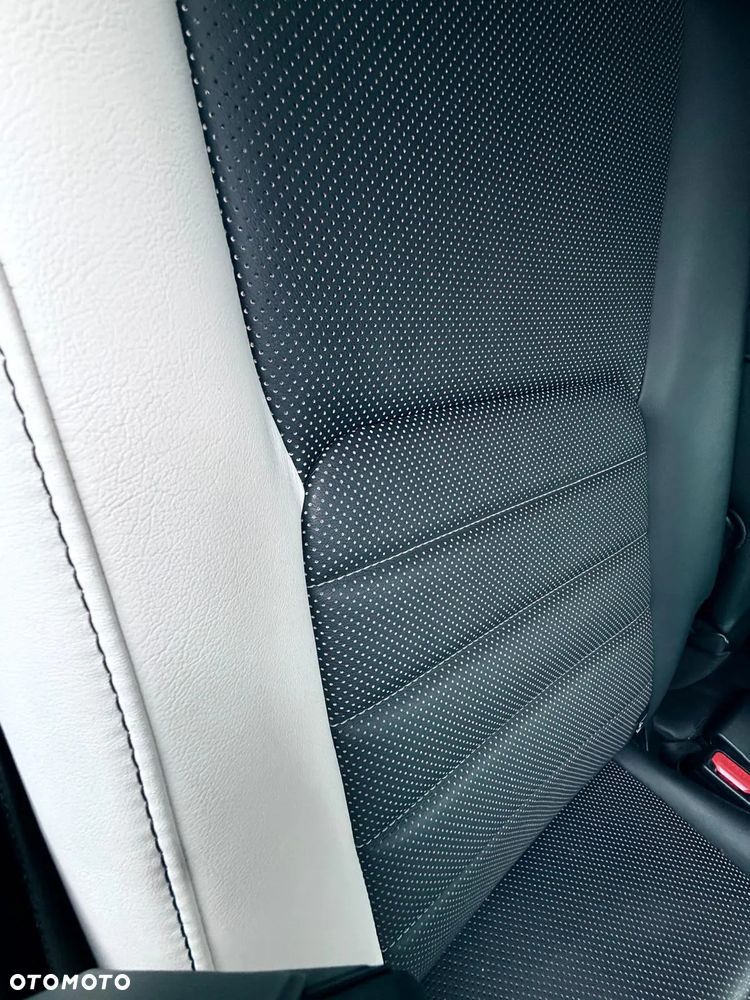 Lexus NX 300 F Sport AWD - 17