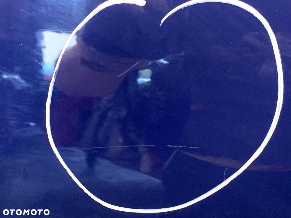 DRZWI PRAWY TYŁ  DACIA SANDERO 2008 - 2022 1.6 (BS0R, BS0D, BS0B, BS0F, BS0H) 64 kW [87 KM] benzyna - 2