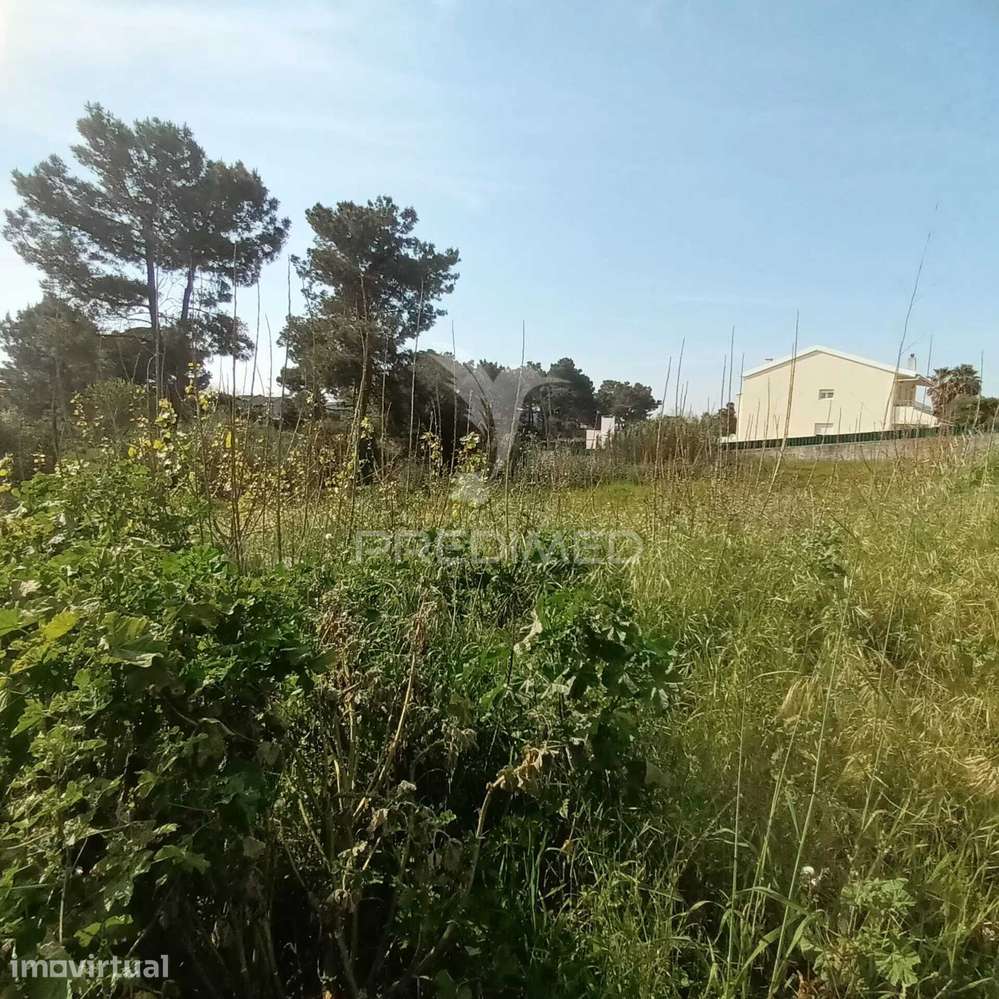 Lote para construção em Azeitão - Grande imagem: 4/22