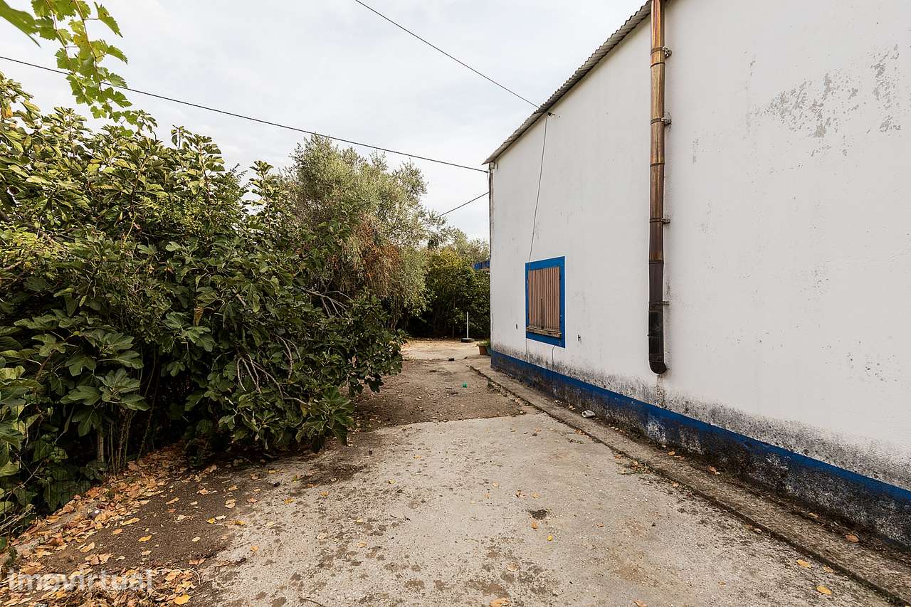 Quinta de 33.000 m² c/ Armazém em Montemor-o-Novo, Évora - Grande imagem: 4/50