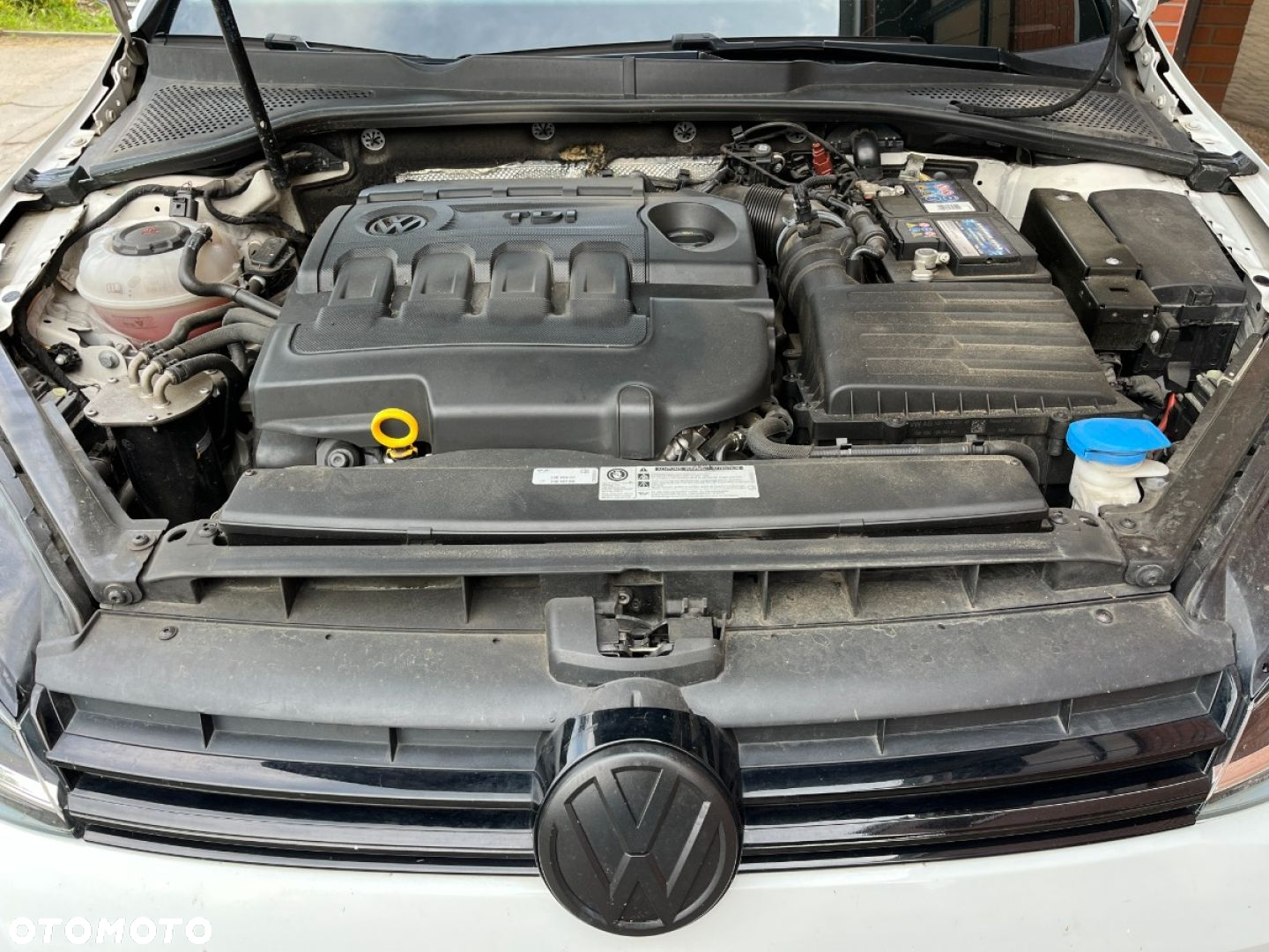 Volkswagen Golf - 25