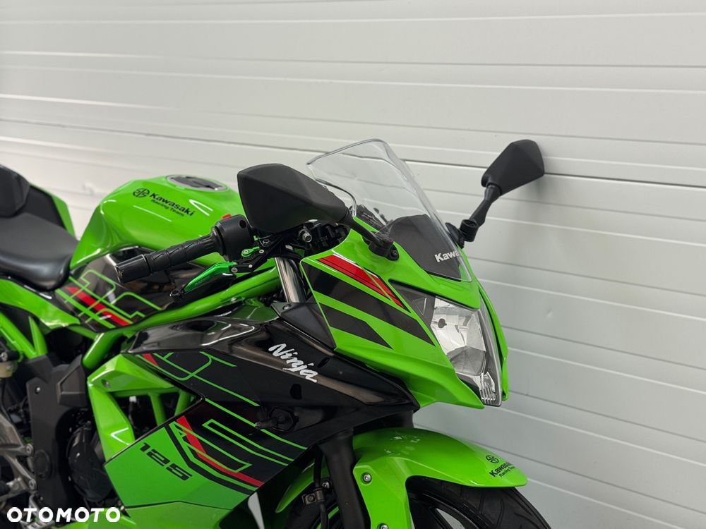 Kawasaki Ninja - 10