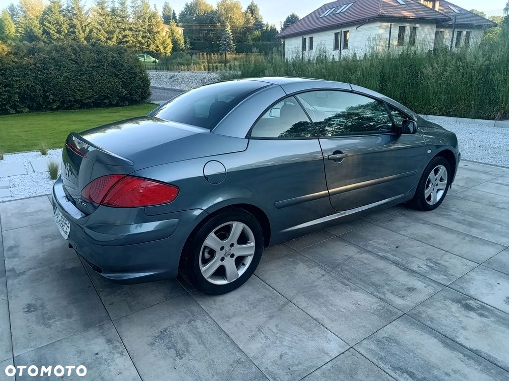 Peugeot 307 - 29