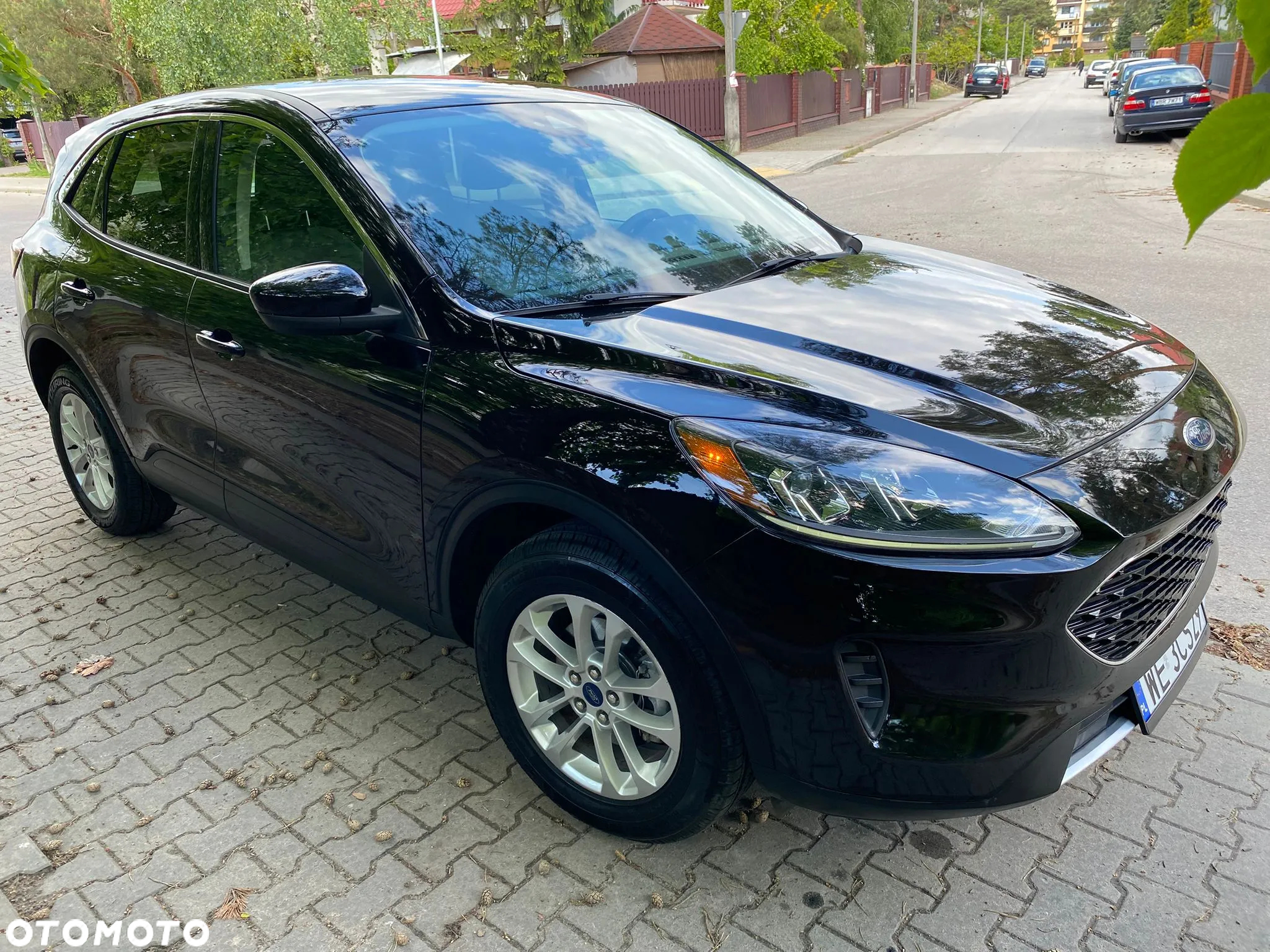 Ford Kuga 1.5 EcoBoost AWD Edition ASS - 3