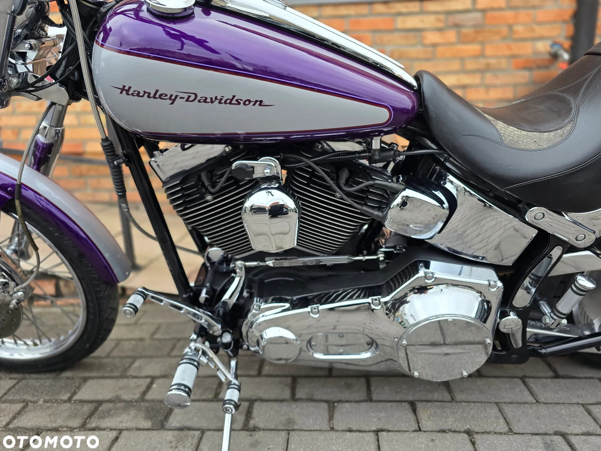 Harley-Davidson Softail - 4