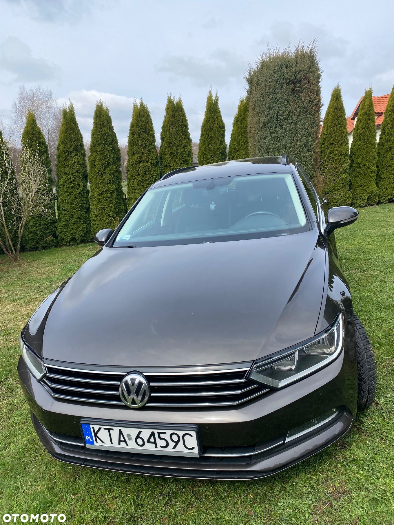 Volkswagen Passat - 1