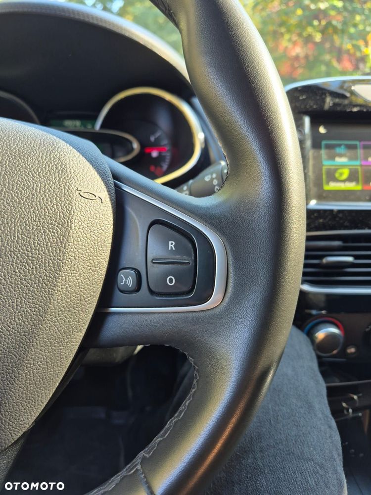 Renault Clio - 13