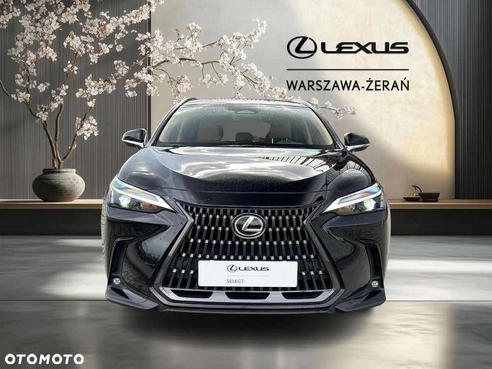 Lexus NX - 10