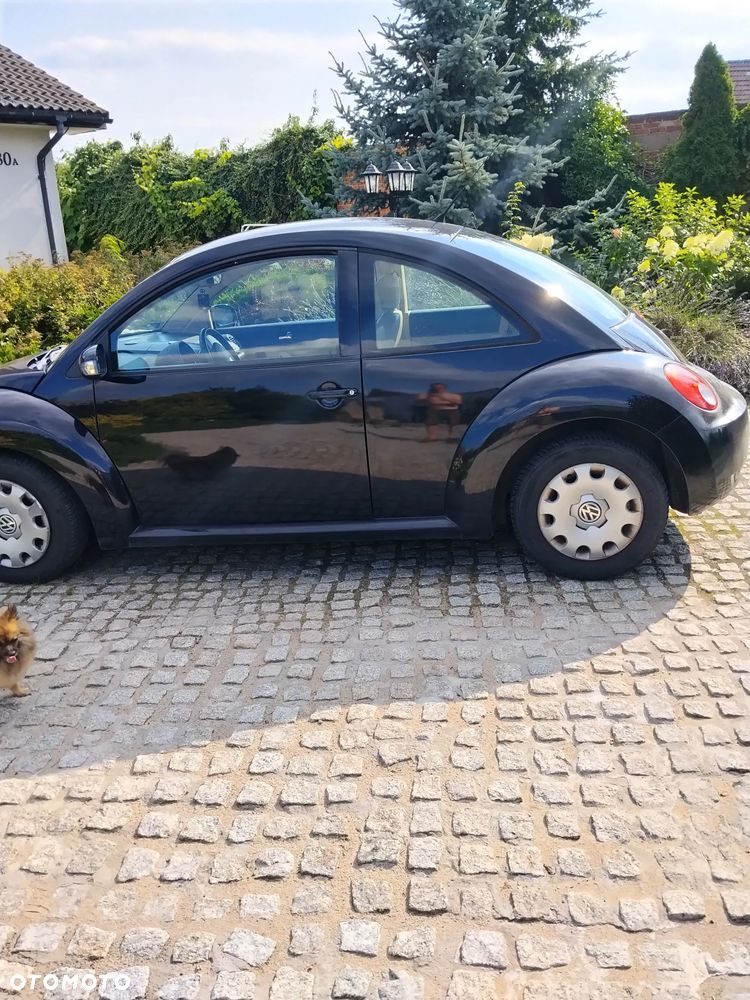 Volkswagen New Beetle - 8