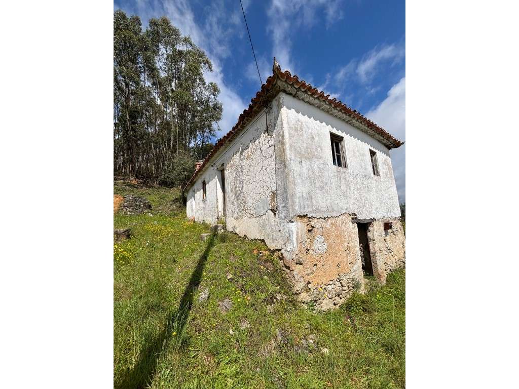 Oportunidade de investimento | Concelho de Abrantes - Grande imagem: 5/23