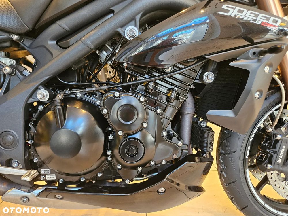 Triumph Speed Triple - 13