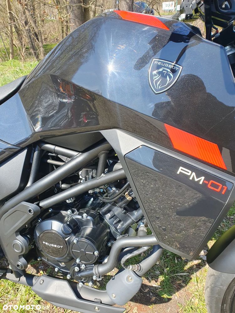 Peugeot PM-01 - 5