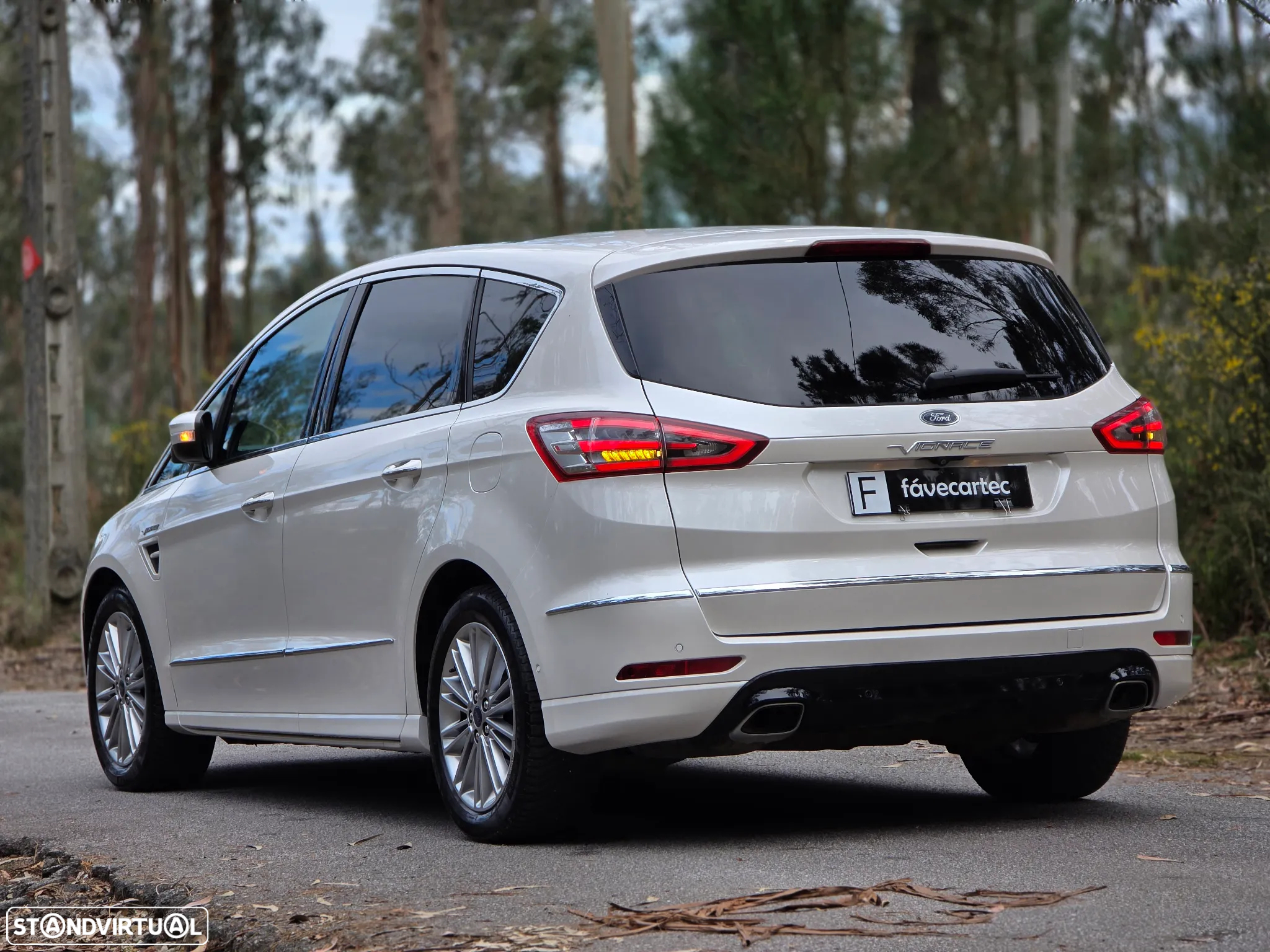 Ford S-Max 2.0 TDCi Vignale Powershift - 6