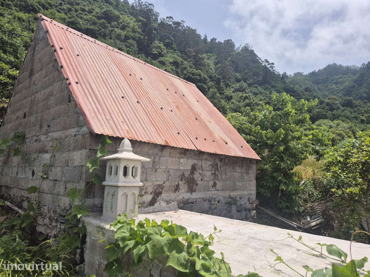 Terreno com casa agrícola em Arco de São Jorge