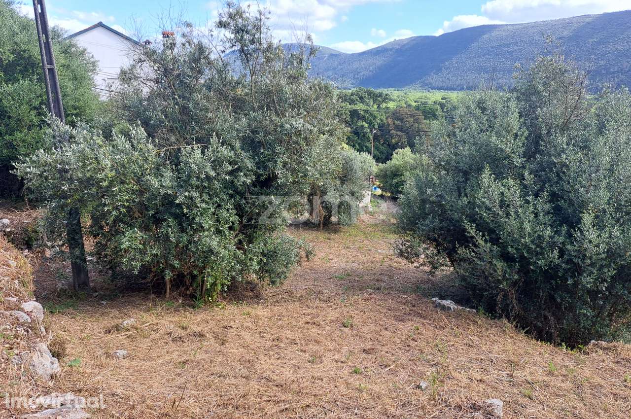 Terreno Urbanizável em Mira de Aire - Grande imagem: 3/30