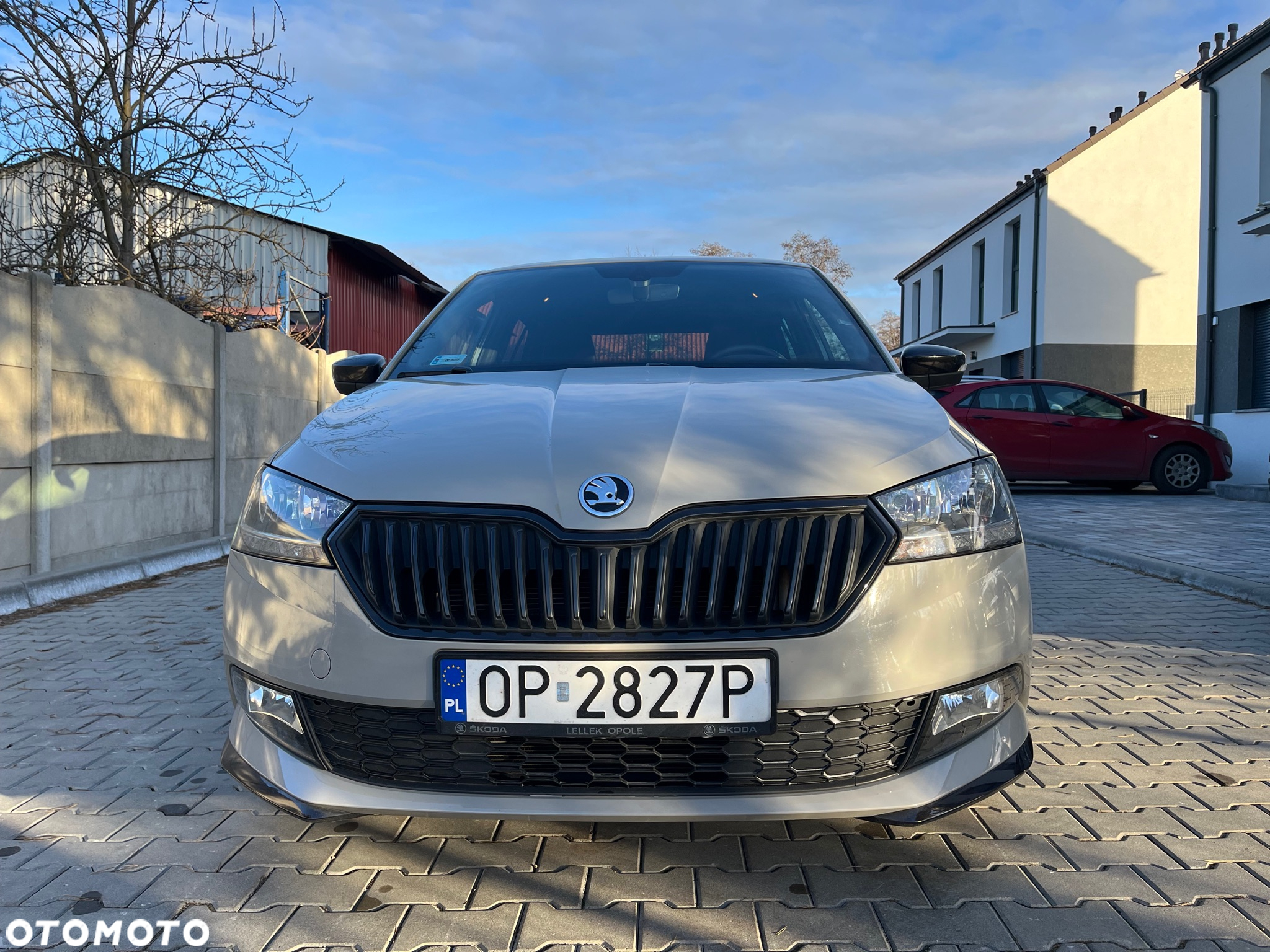 Skoda Fabia 1.0 TSI Monte Carlo DSG - 12
