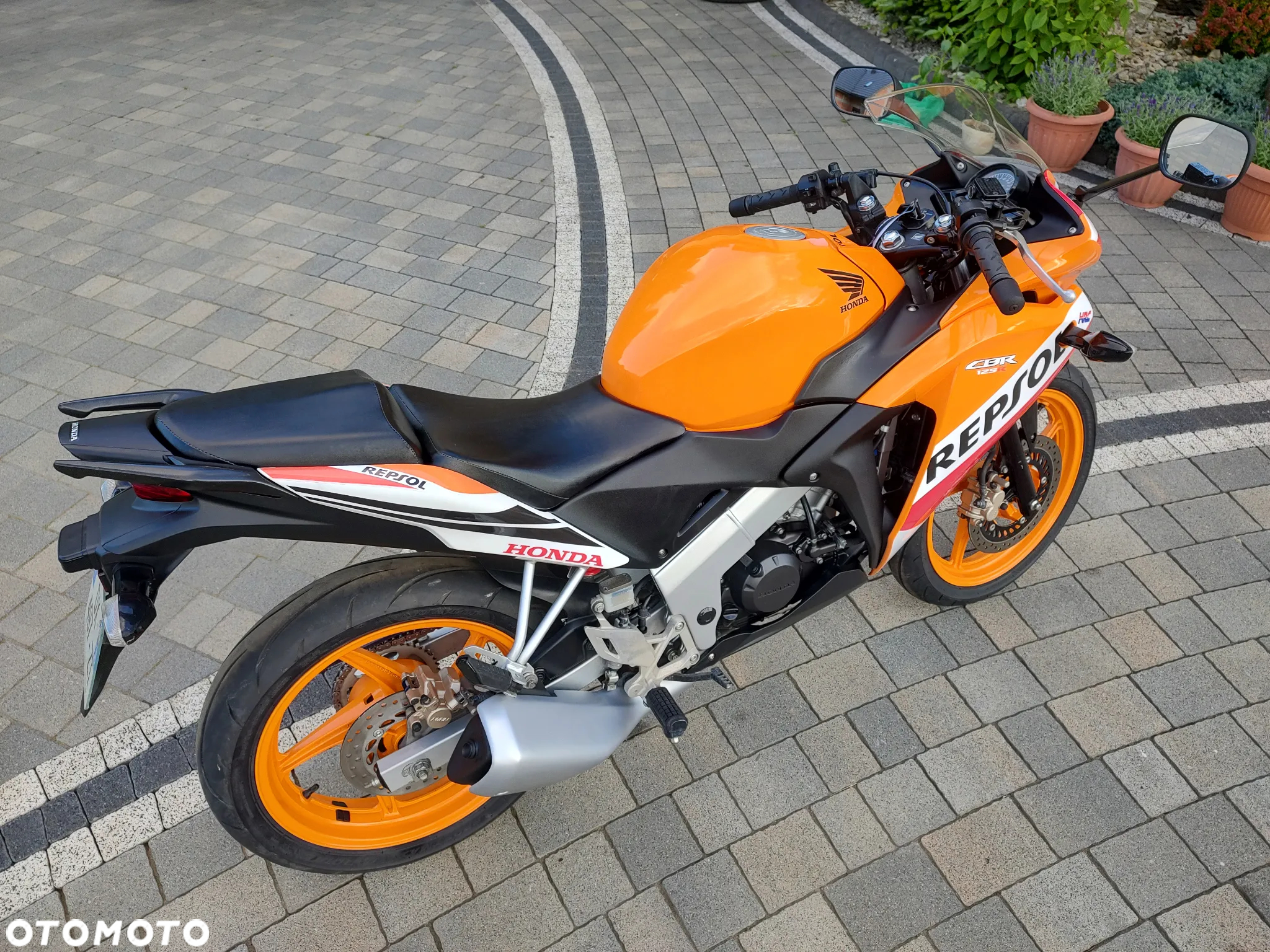 Honda CBR - 6
