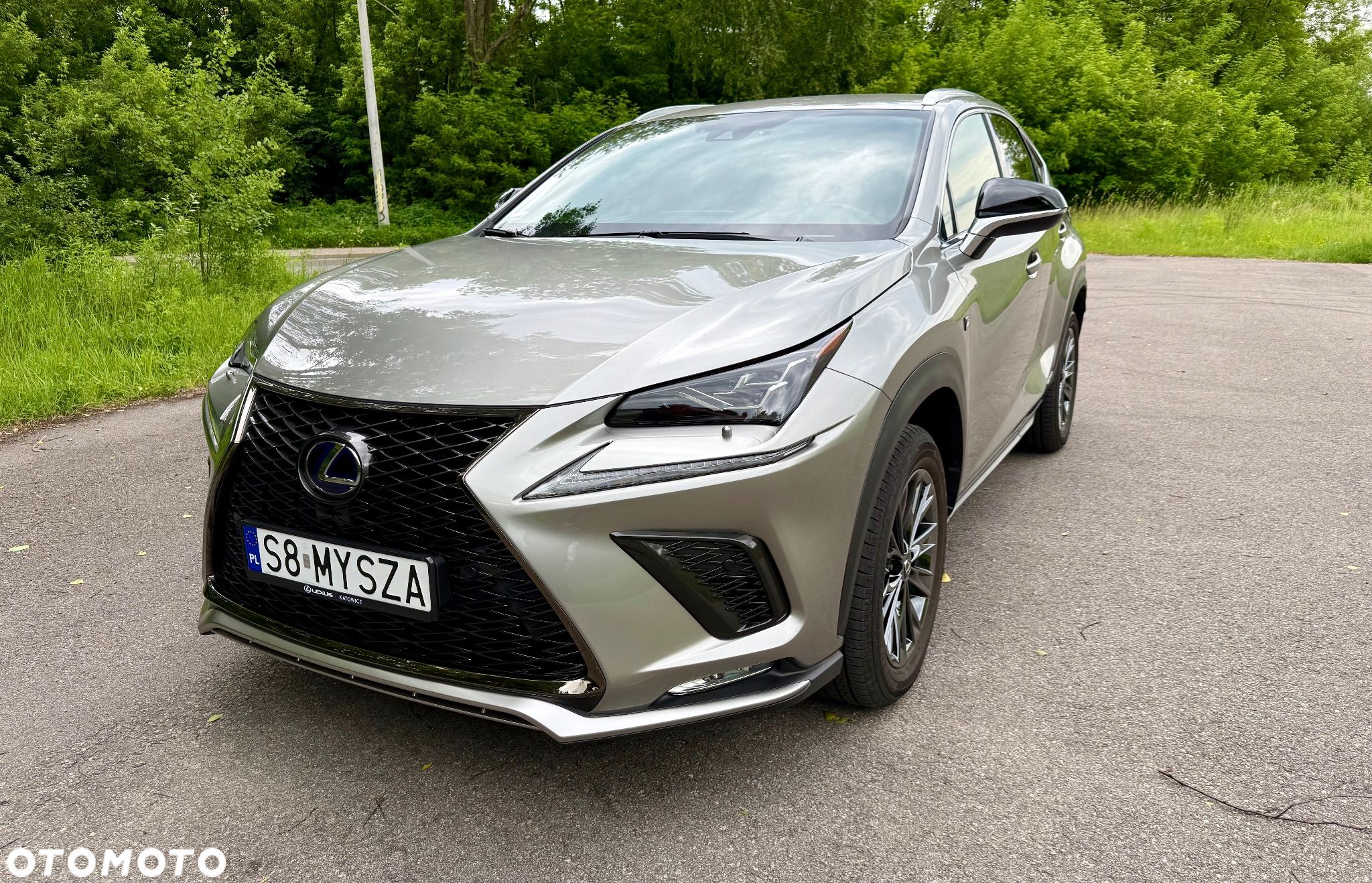 Lexus NX 350h F Sport AWD - 1