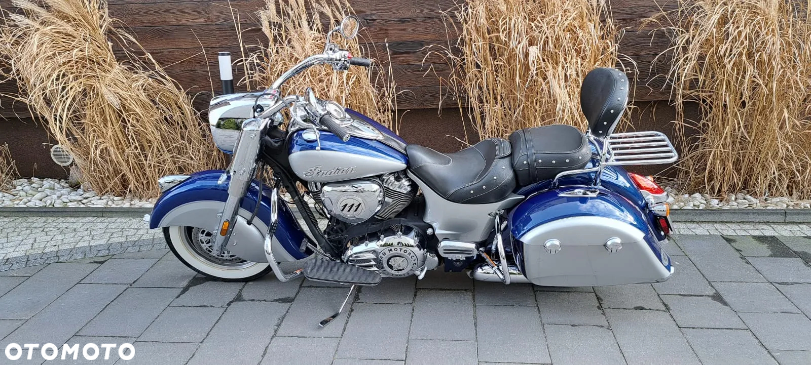 Indian Springfield - 41