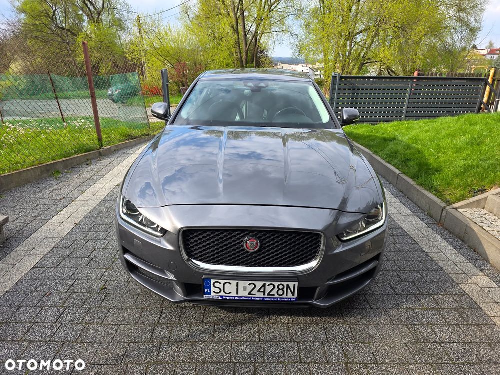 Jaguar XE E-Performance Pure - 2