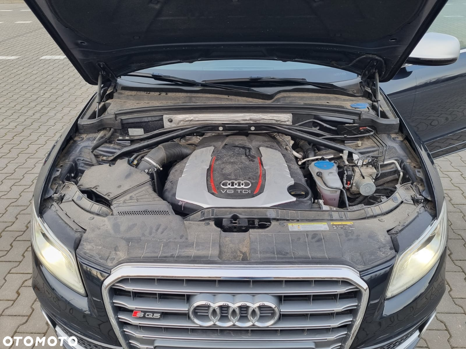Audi SQ5 3.0 TDI Quattro Competition - 34