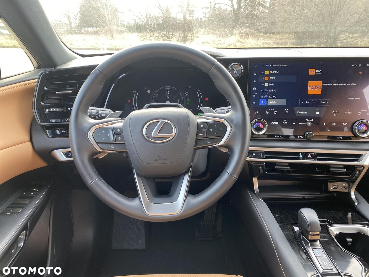 Lexus RX - 17