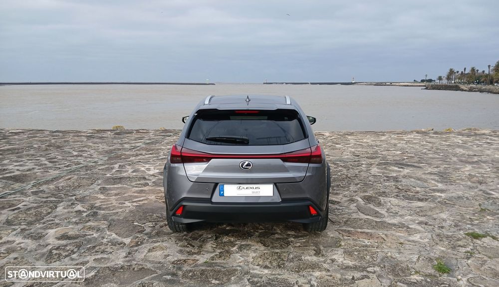 Lexus UX 300e Luxury - 6