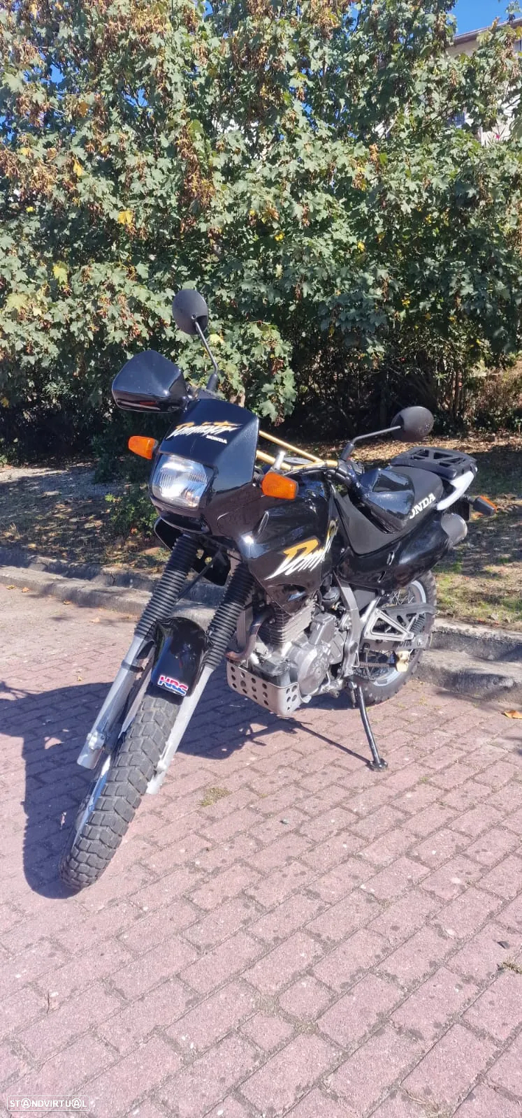 Honda Dominator Honda Dominator 650 - 2