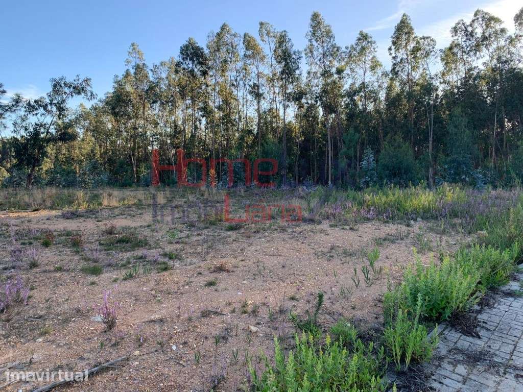 Lote na Urbanização Quinta da Loba - Grande imagem: 3/6