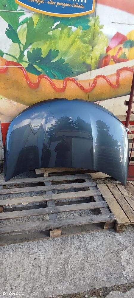 stalowa maska pokrywa silnika citroen c4 b7 09.2010- 04.2018 / ds4 od 06.2011 ACN ACX ACZ EFC EGE EJG EJA EKQ EKQD EKU ELA ENH EPY EQN ETS EVG EVH EVL EVT EXC EXL EXX EXY EXZ EZQ EZR EZW EYL EWP FJB FXX FXT FVX GYA H6 H8 HVA HRQ HVV KAQ KAW KBC KBE KCA KCH KCL KDK KEB KEJ KEN KEQ KGS KGN KHL KJC KJX KKN KMF KNC KNCA KPS KPU KTV KTP KWE KZA KZB LKR LQJ LQQ LQS LQV LQZ LQS LQZ LQQD LQJ LQV LQZ LQZ LQS LQJ KPS KPU LQQ LQV KBC FXT KTV KPU KMF ETS ZW VL KEN KTC KKN KHL GYA KPS KU KGS KAW LQZ HRQ LQJ KEJ EPY HVV KWE KEB EXC EXX EXY 5S 4C KNC EGE KNY KJX LQS HVA KZB KZA EZQ ZQ EVT 9C FJB V8 KJC X6 W4 KHR KTQ KAQ EVL KTV KCA EZW LKR EQN KGN KTP EZR EXL ELA EWP KTH KDK EKQ KQ KTV P9 KWE KCL EPY KCH EYL KCW EXY EVH WP EKU 9V - 2