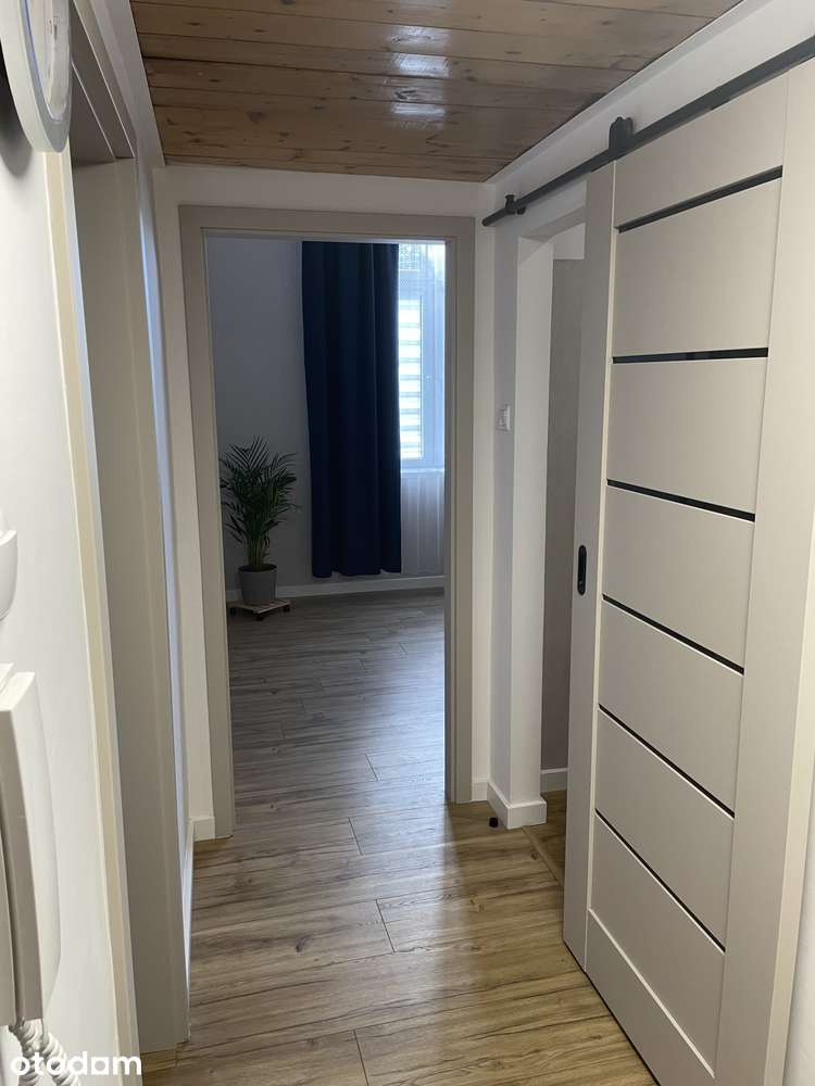 Kraków Centrum | ul. Lenartowicza | 2 pokoje | BEZ CZYNSZU | 3000 zł
