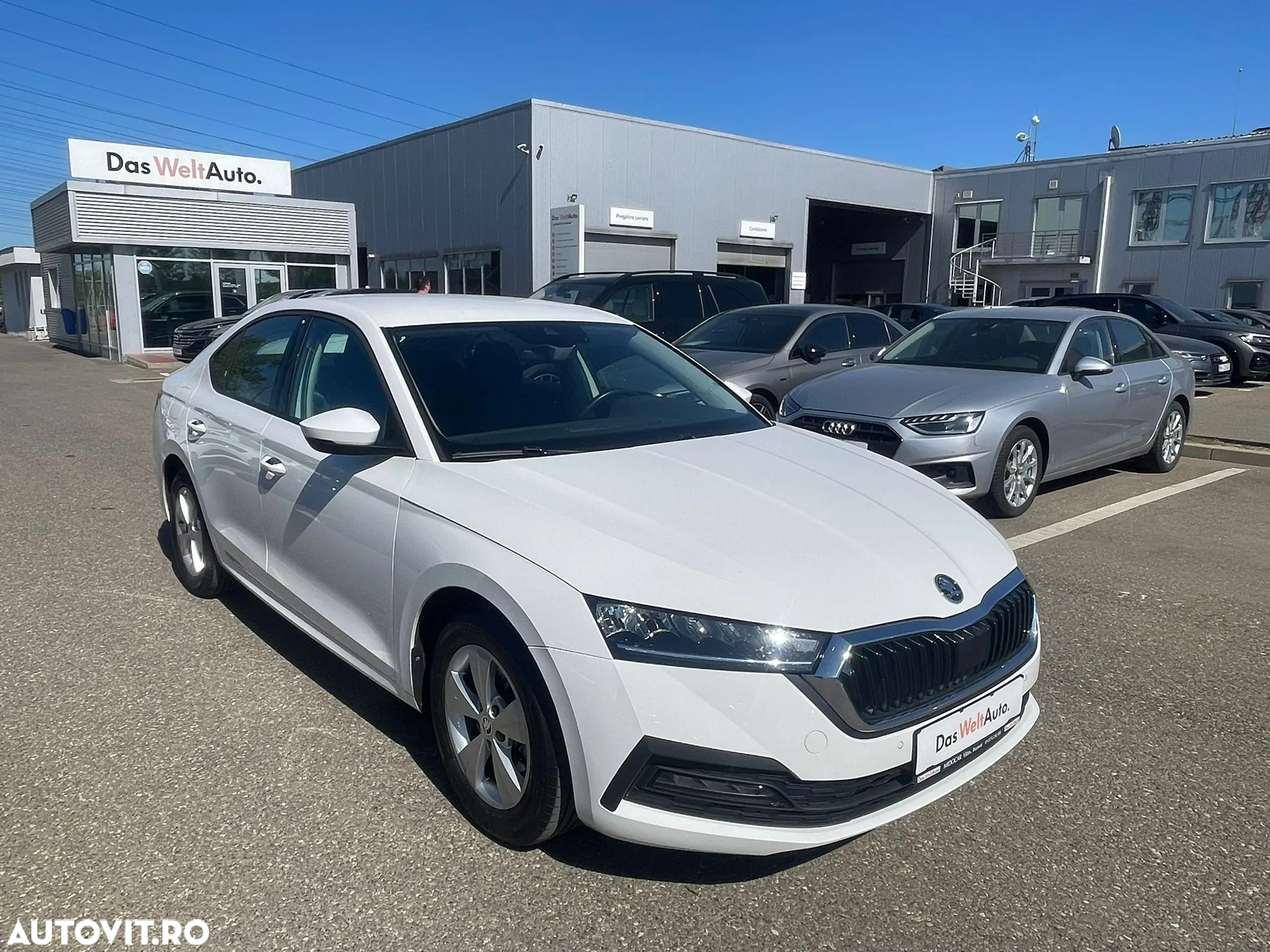 Skoda Octavia 1.0 TSI DSG Mild Hybrid Ambition - 8