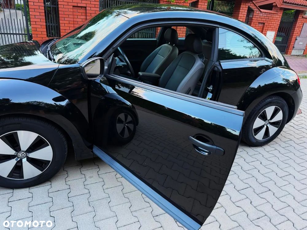 Volkswagen Beetle - 23