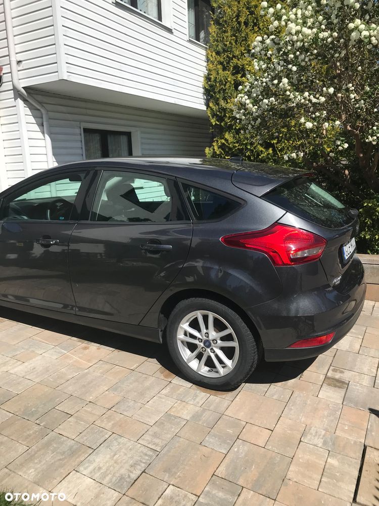 Ford Focus - 13