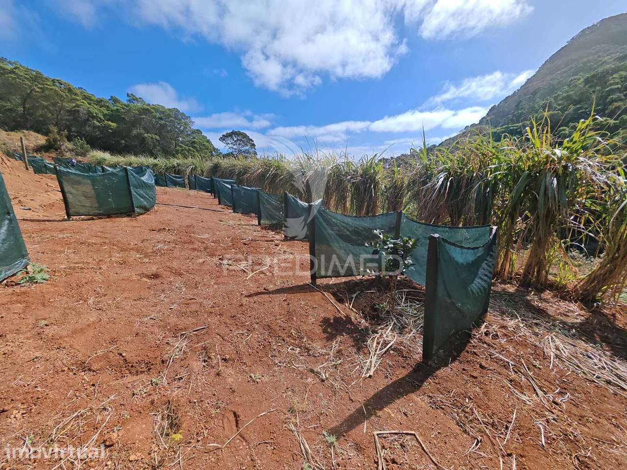 Terreno com 21 500,00 m2 à Venda Em Caniçal - Grande imagem: 4/37