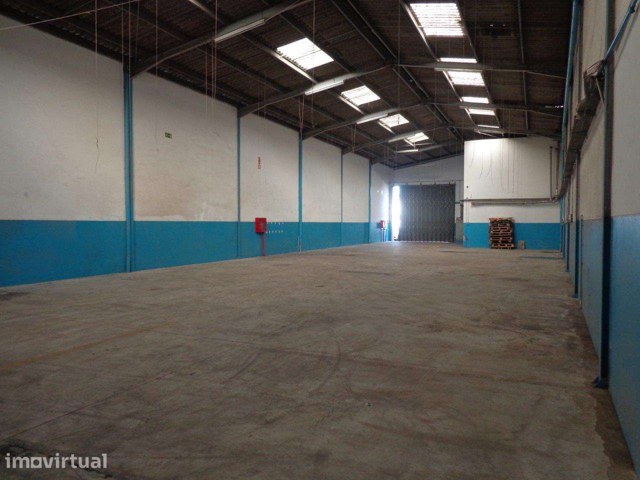 Armazém industrial, Canelas, saída A29 - nó de Canelas - Grande imagem: 3/24