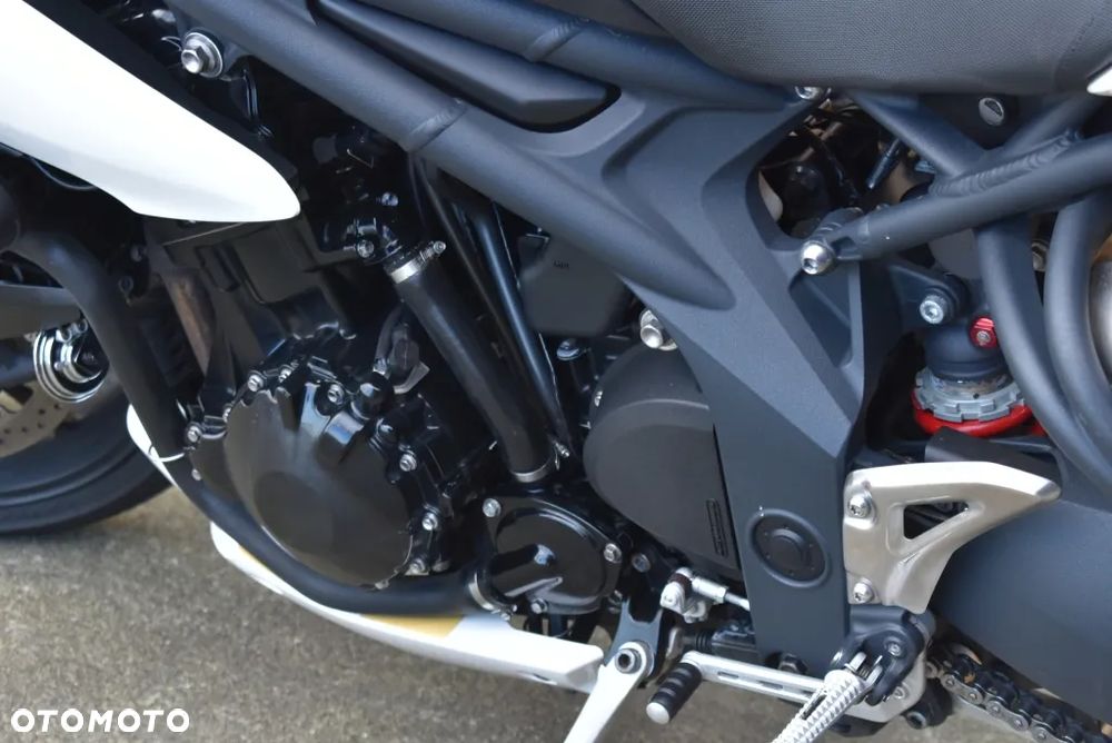 Triumph Speed Triple - 18