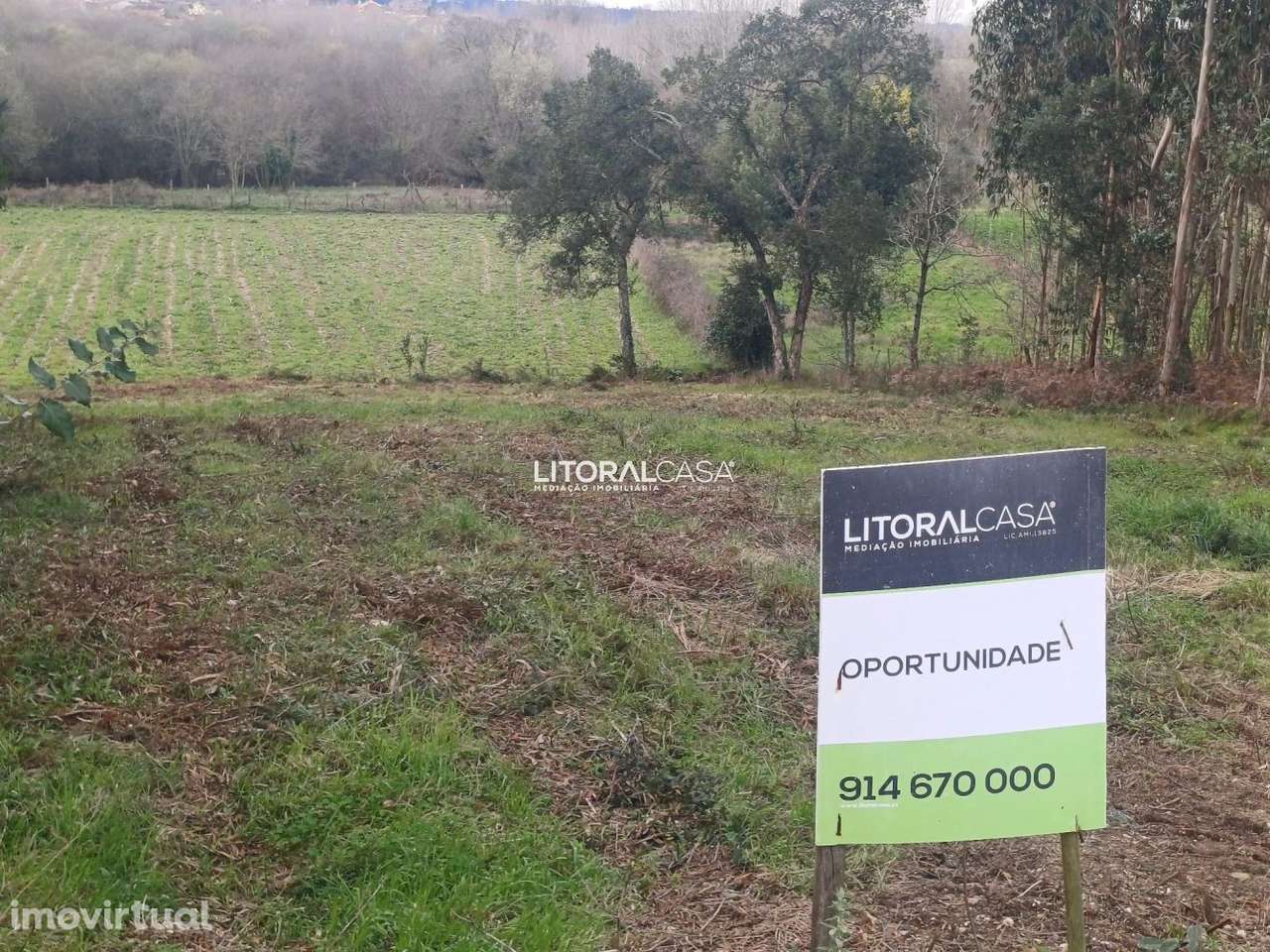 Terreno | Horta - Eixo - Grande imagem: 3/16