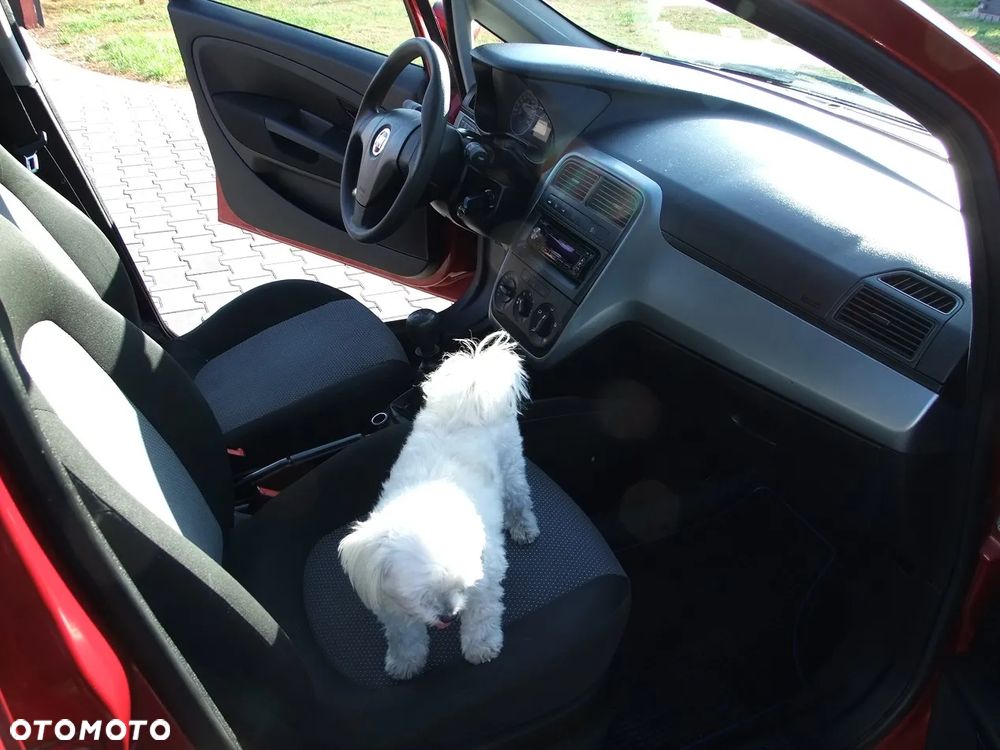 Fiat Punto 1.2 8V - 12