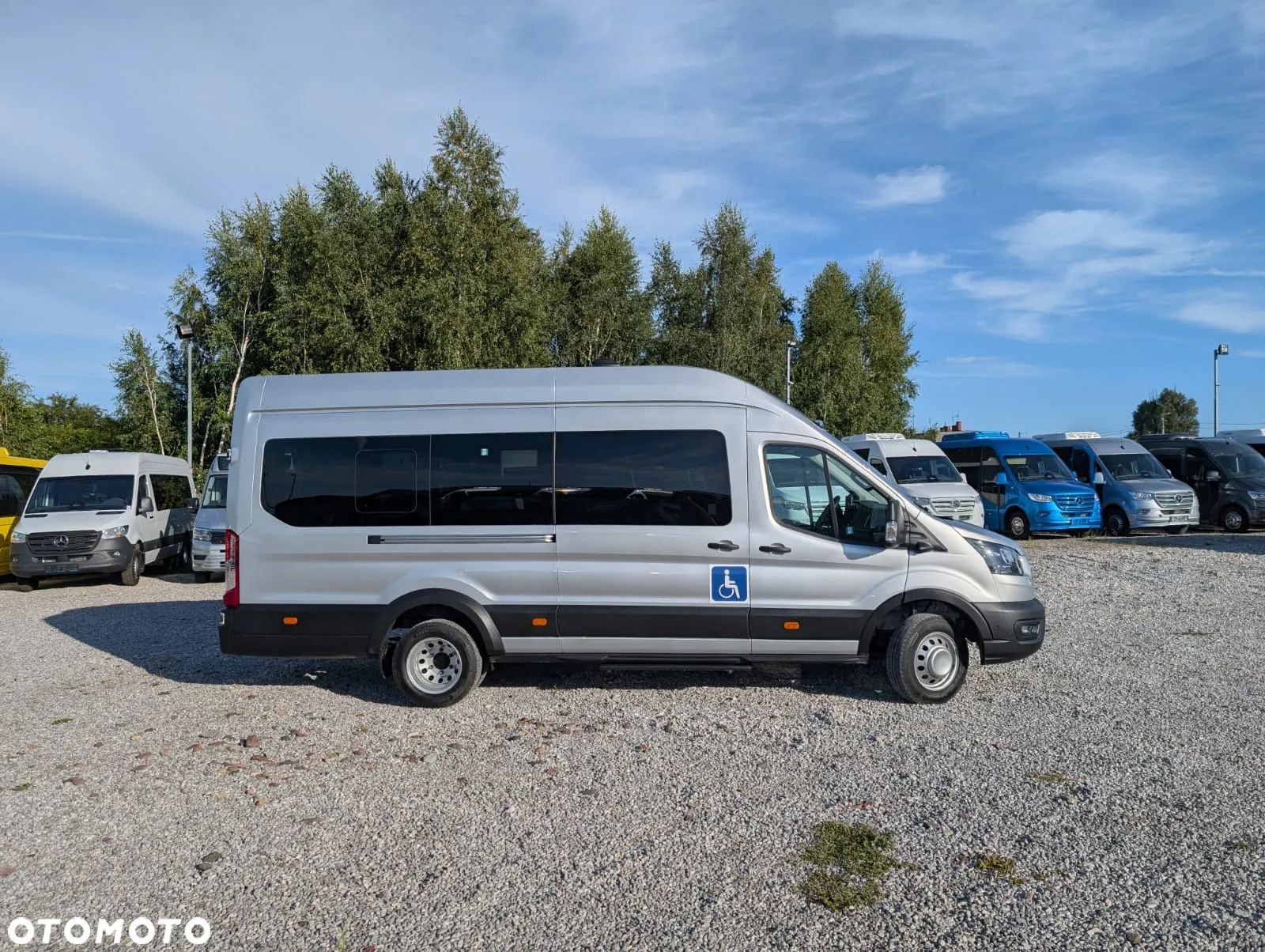 Ford Transit - 3