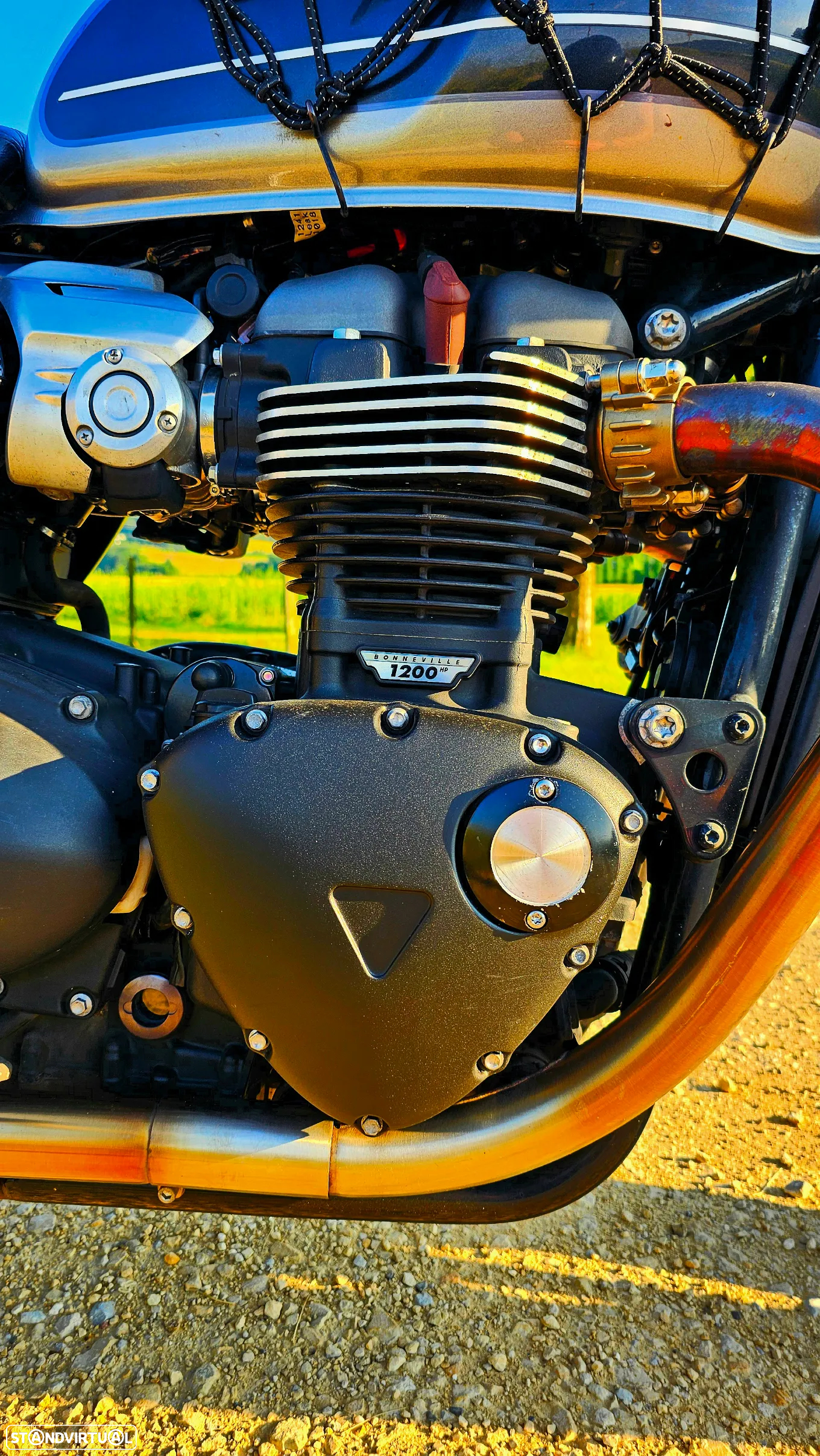 Triumph Speed Twin - 8