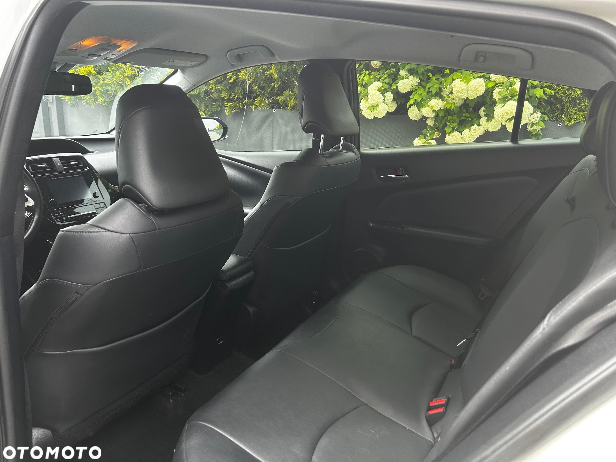 Toyota Prius - 10