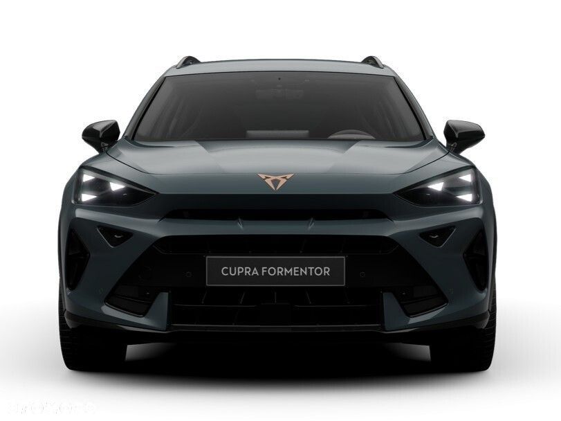 Cupra Formentor 2.0 TSI 4Drive DSG - 6