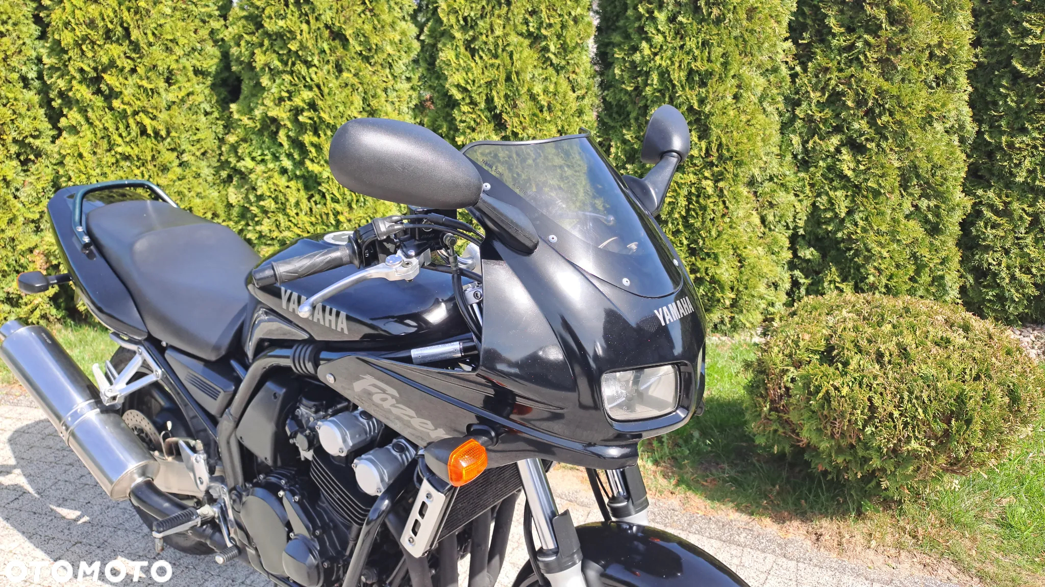 Yamaha FZS - 23