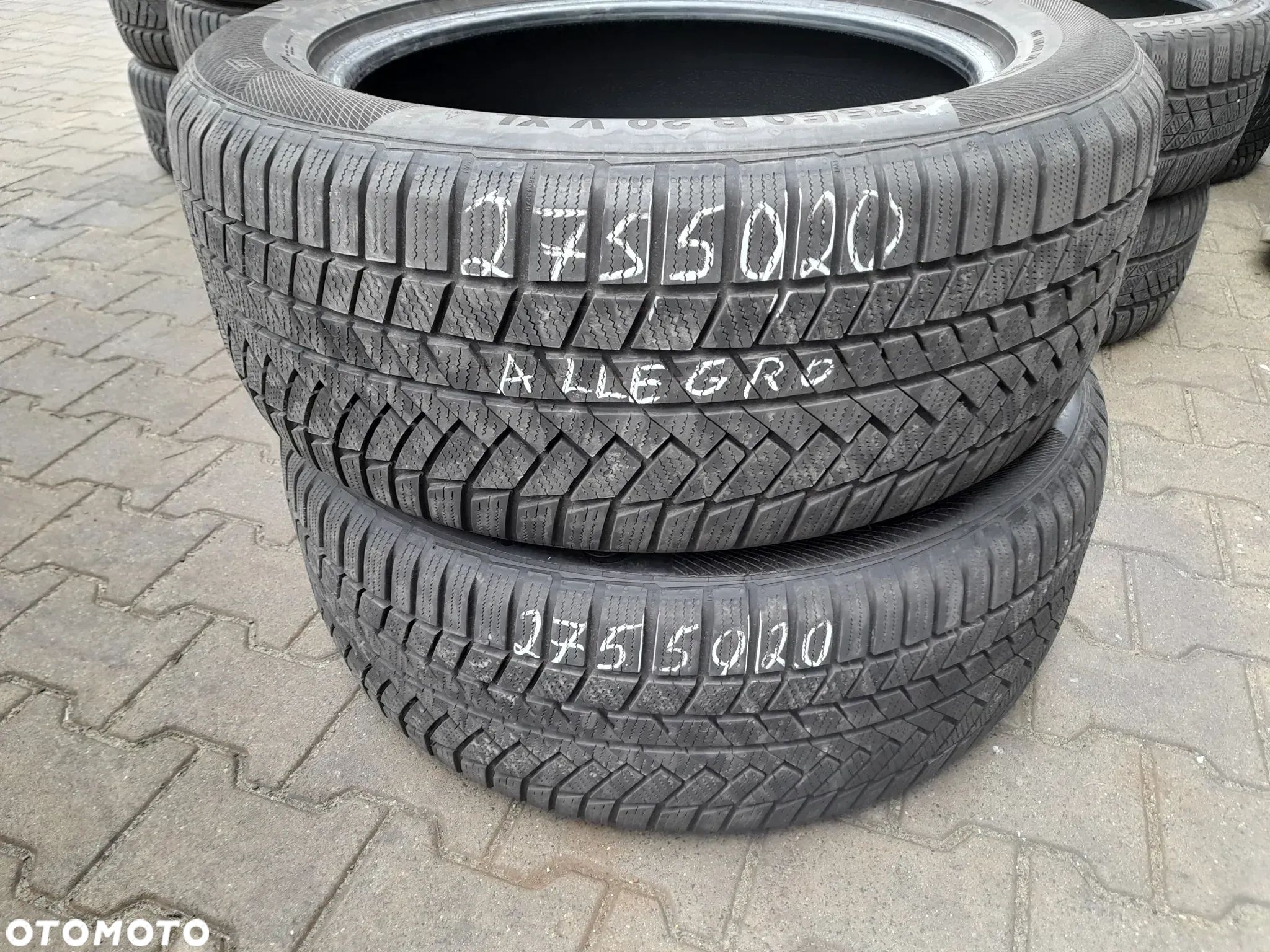 Opony zimowe Continental WinterContact TS850P 275/50 20 113V XL M+S - 1